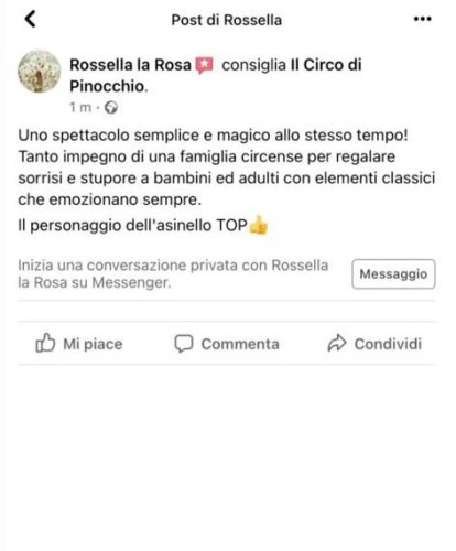 recensioni-il-circo-di-pinocchio-18